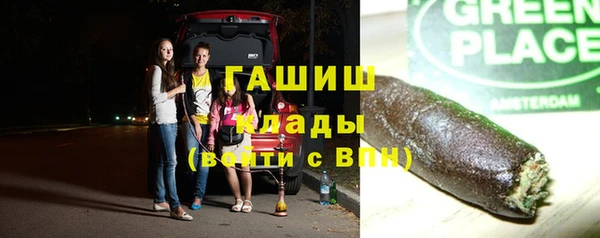 крисы Богородицк