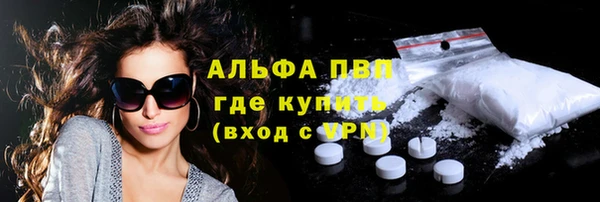 крисы Богородицк