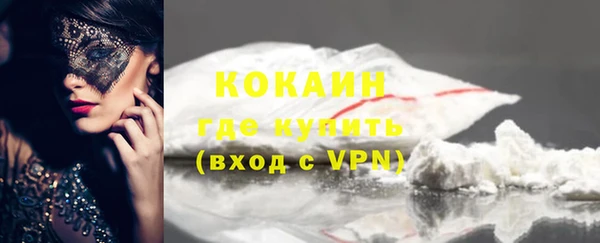 крисы Богородицк