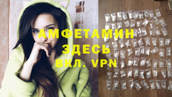 крисы Богородицк