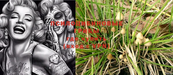 a pvp Богданович