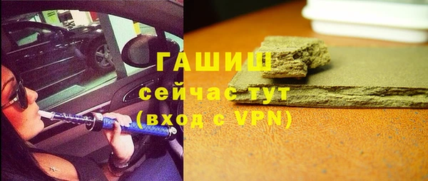крисы Богородицк