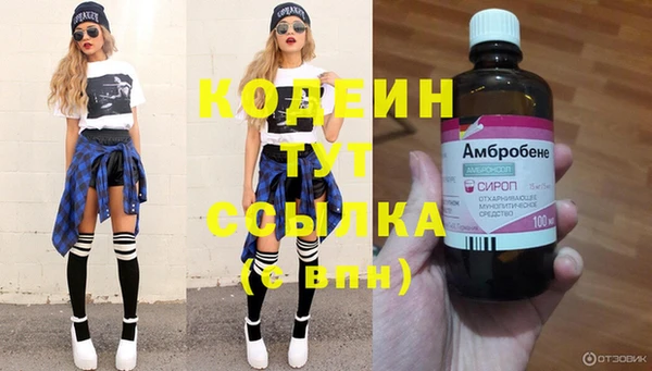 крисы Богородицк
